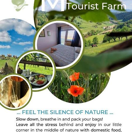 Masnec Tourist Farm Villa Miljana Eksteriør bilde
