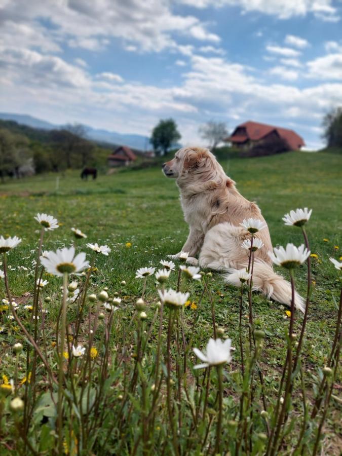 Masnec Tourist Farm Villa Miljana Eksteriør bilde