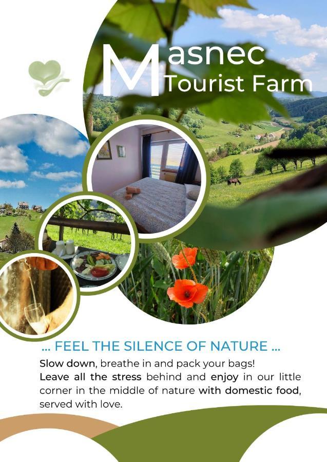Masnec Tourist Farm Villa Miljana Eksteriør bilde
