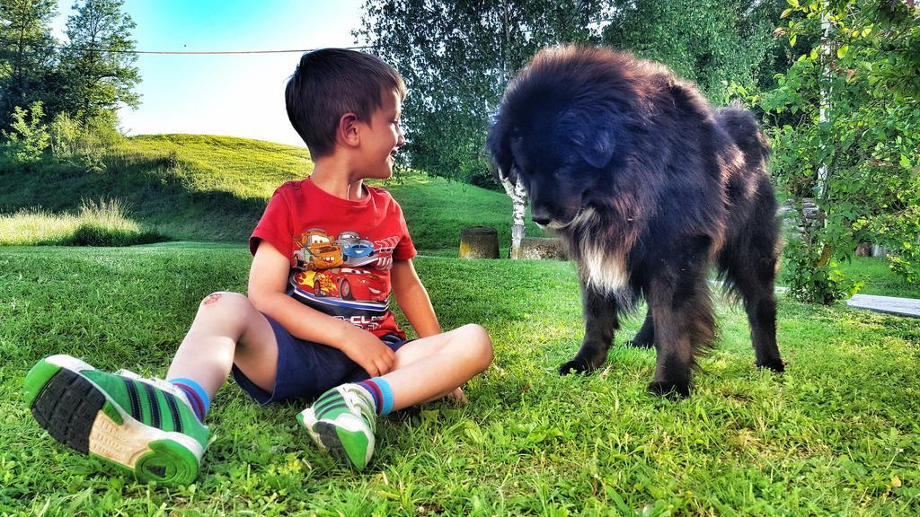 Masnec Tourist Farm Villa Miljana Eksteriør bilde
